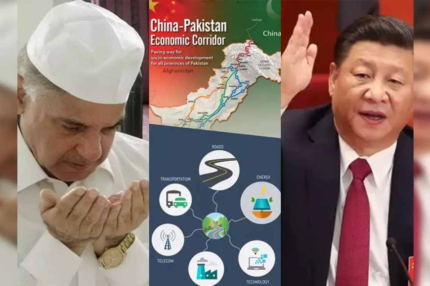 CPEC :चीन से दोस्ती की पाकिस्तान को चुकानी पड़ी 11317 जिंदगियों की बड़ी  कीमत ?