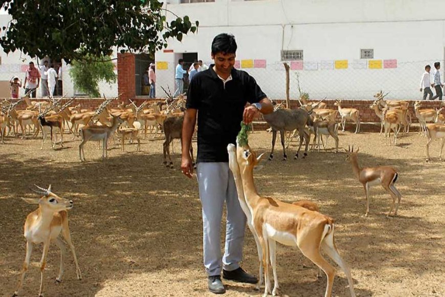 क्या आप जानते है बिश्नोई समाज में अंतिम संस्कार कैसे किया जाता है?