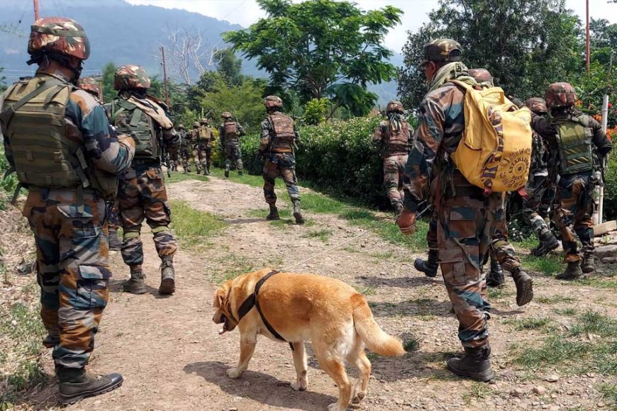 बारामुला में सेना ने हथियारों से लैस आतंकी को मार गिराया, गोला&बारूद और हथियारों का बड़ा जखीरा बरामद